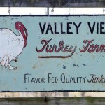 Valley View Turkey Farm – Flavor Fed Quality Turkeys