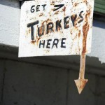 Valley View Turkey Farm – Flavor Fed Quality Turkeys