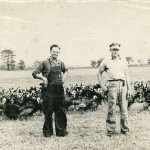 Valley View Turkey Farm – Flavor Fed Quality Turkeys