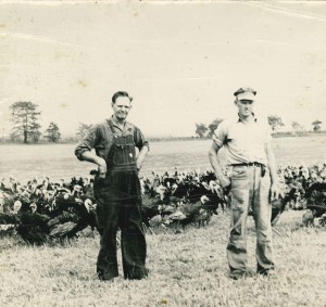 Valley View Turkey Farm – Flavor Fed Quality Turkeys